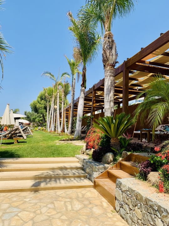 Gartenanlage Amathus Beach Hotel Limassol