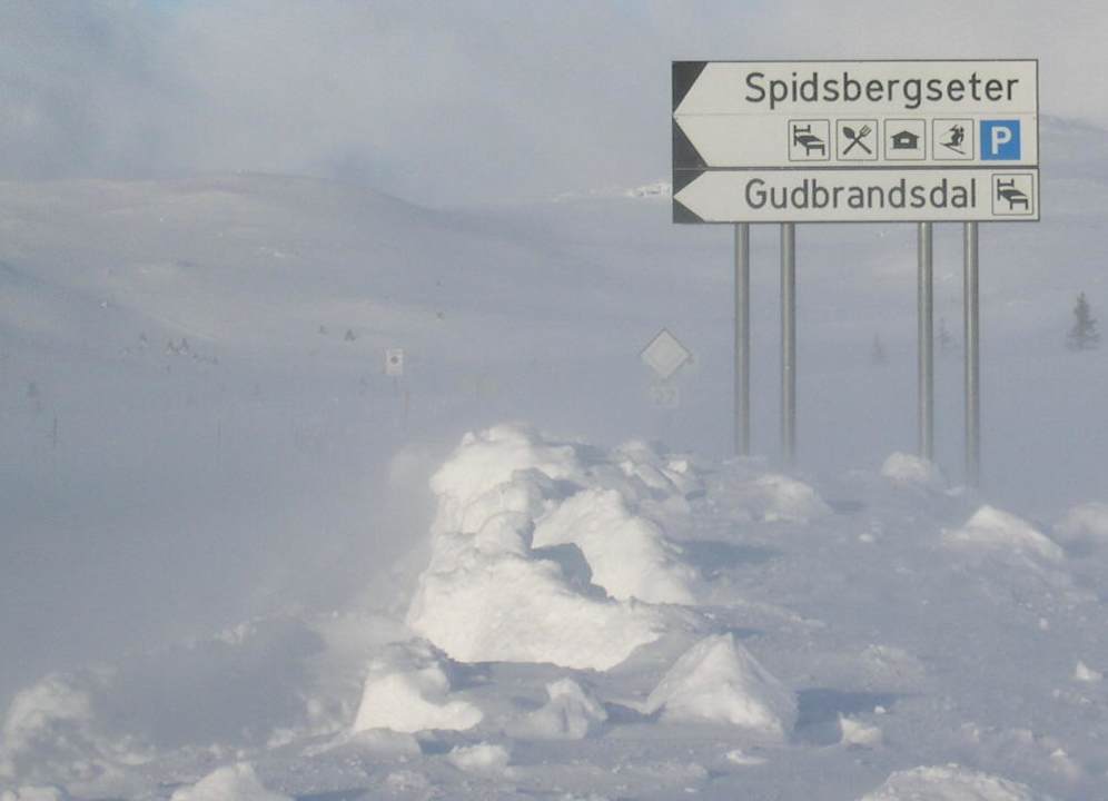 Spidsbergseter Hotel Hütten Spidsbergseter