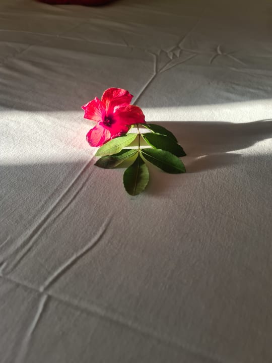 Zimmer Oceana Hotel & Spa