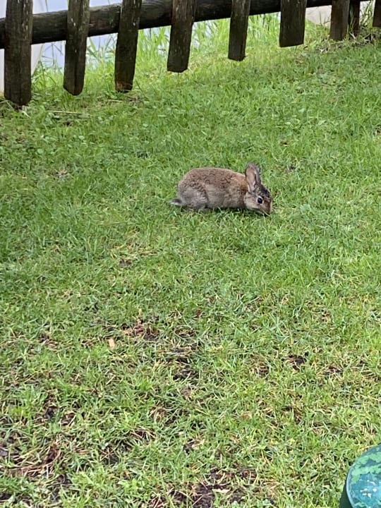 Gartenanlage Tipi Town Europa-Park