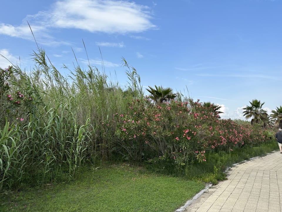 Gartenanlage Xanadu Resort Hotel