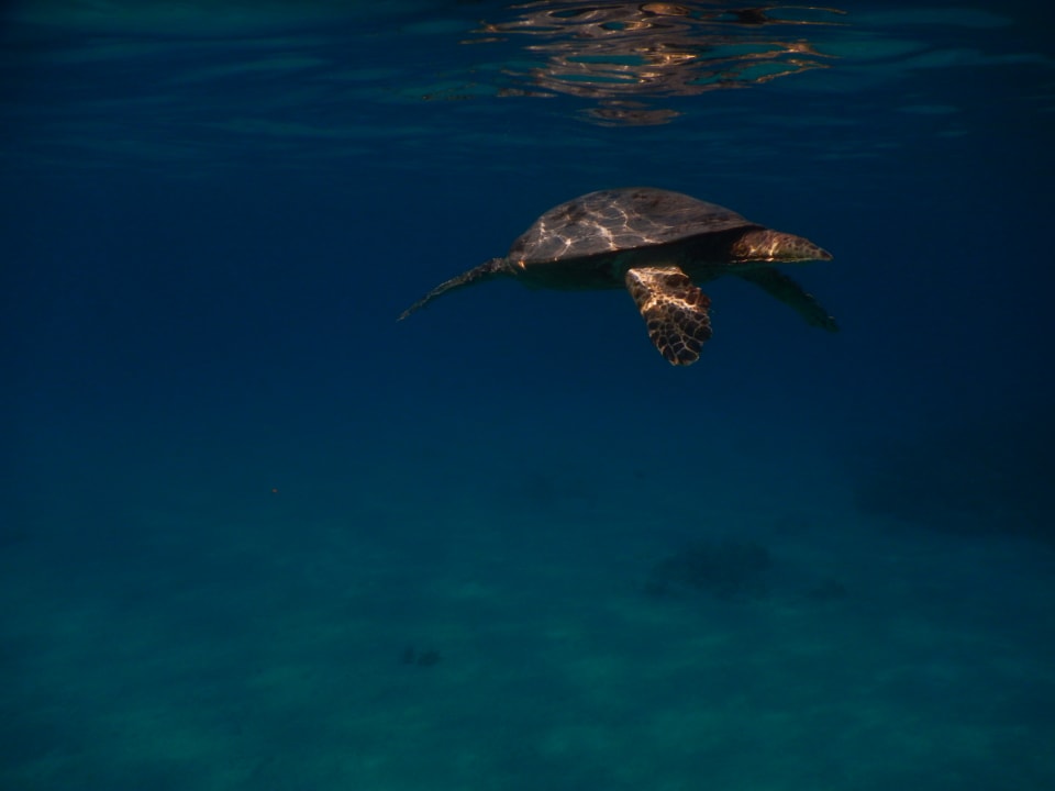 Sport & Freizeit Premier Le Reve Hotel & Spa