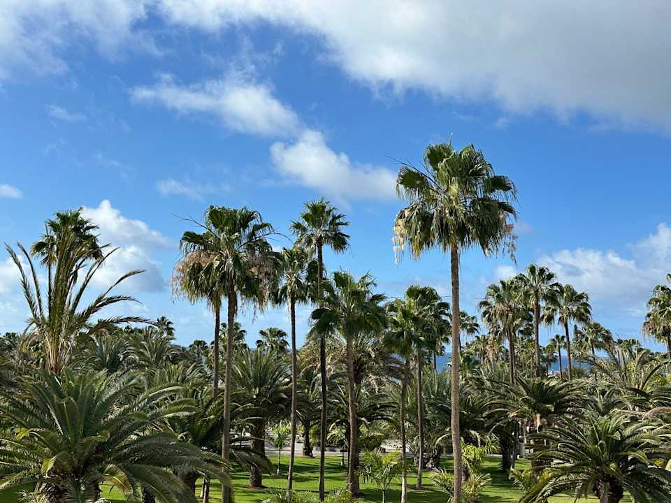 Gartenanlage Hotel Riu Gran Canaria