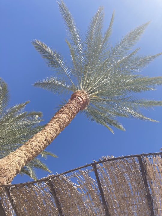 Ausblick Jaz Makadi Oasis Resort