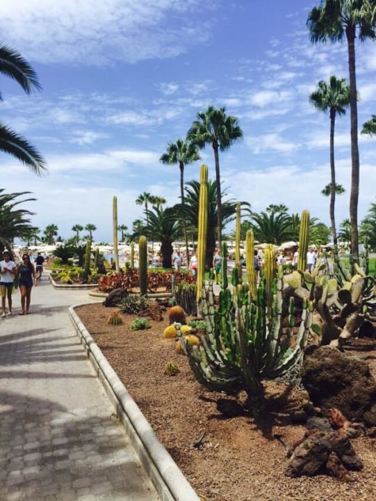 Garten Hotel Riu Gran Canaria