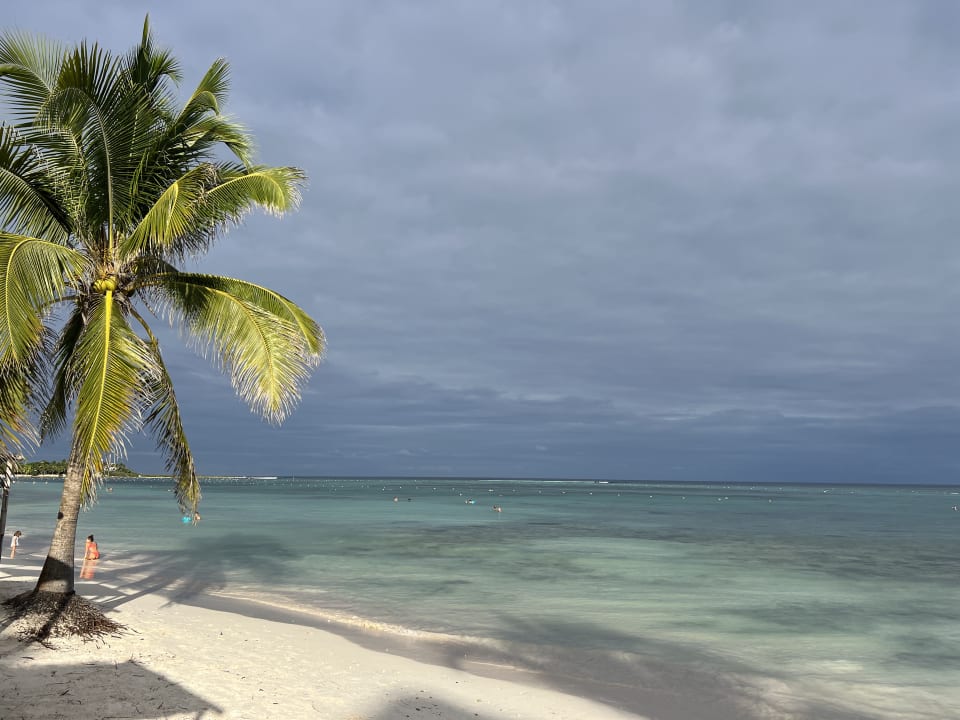 Strand Akumal Bay Beach & Wellness Resort