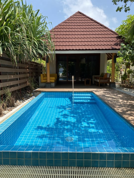 Pool Dhigufaru Island Resort