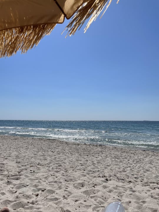 Strand Paralos Kyma Dunes