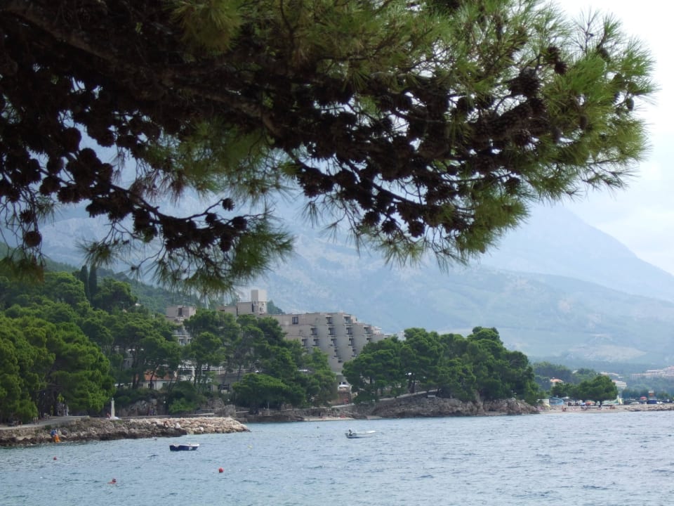 Ansicht vom Strand aus Bluesun Hotel Soline