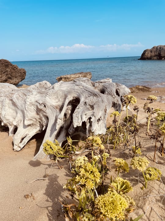 Strand Hotel Aquarius