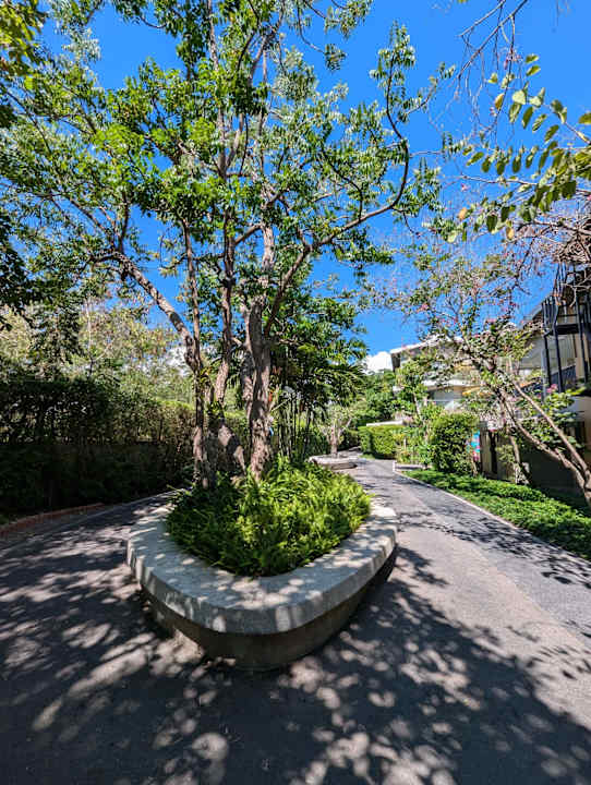 Gartenanlage Avani+ Hua Hin Resort