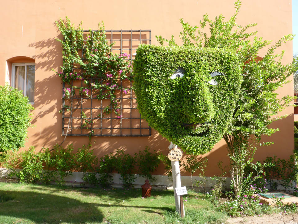 Kunst  Jaz Makadi Blue - TUI BLUE Makadi - Adults Friendly 16 Years Plus