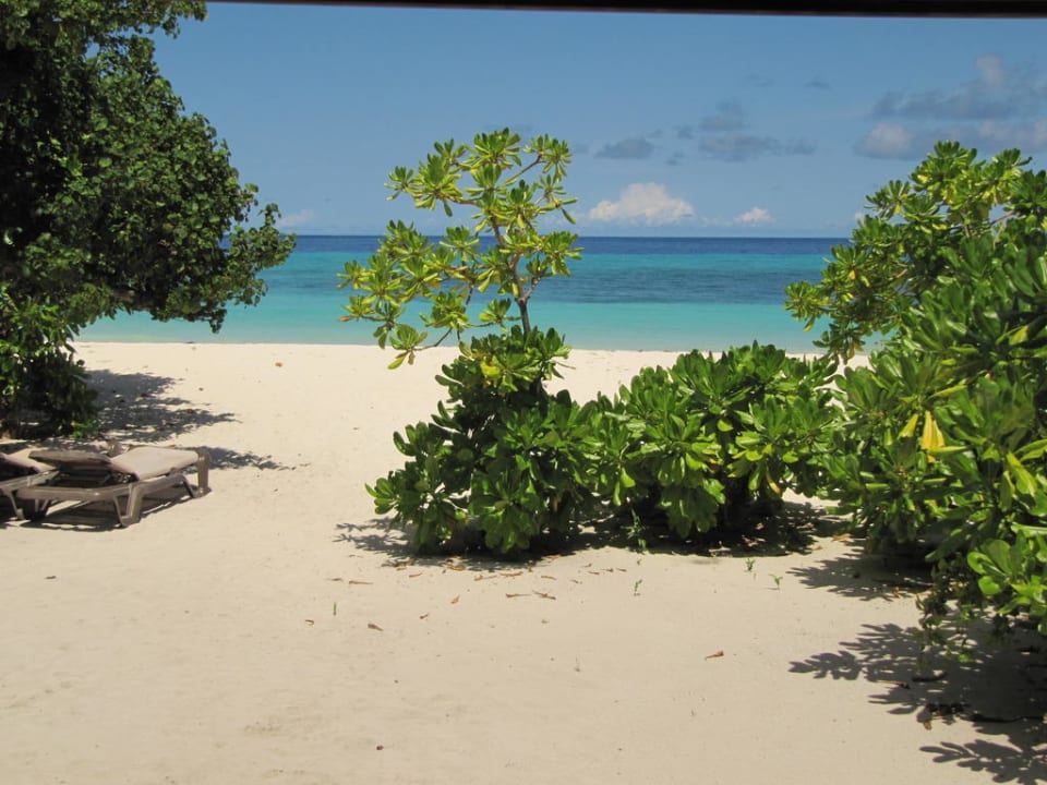 Blick von Villa 238 zum Strand Kuredu Island Resort & Spa