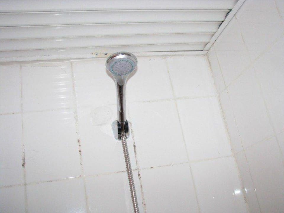 Prysznic z grzybkami w około Saygili Beach Hotel