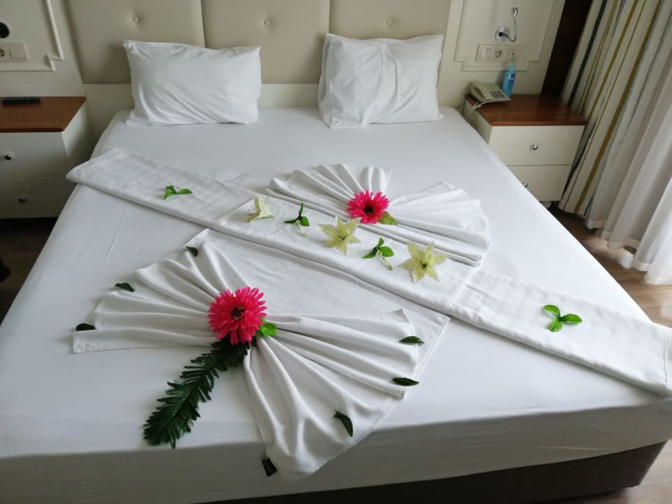 Zimmer Well Palace Side