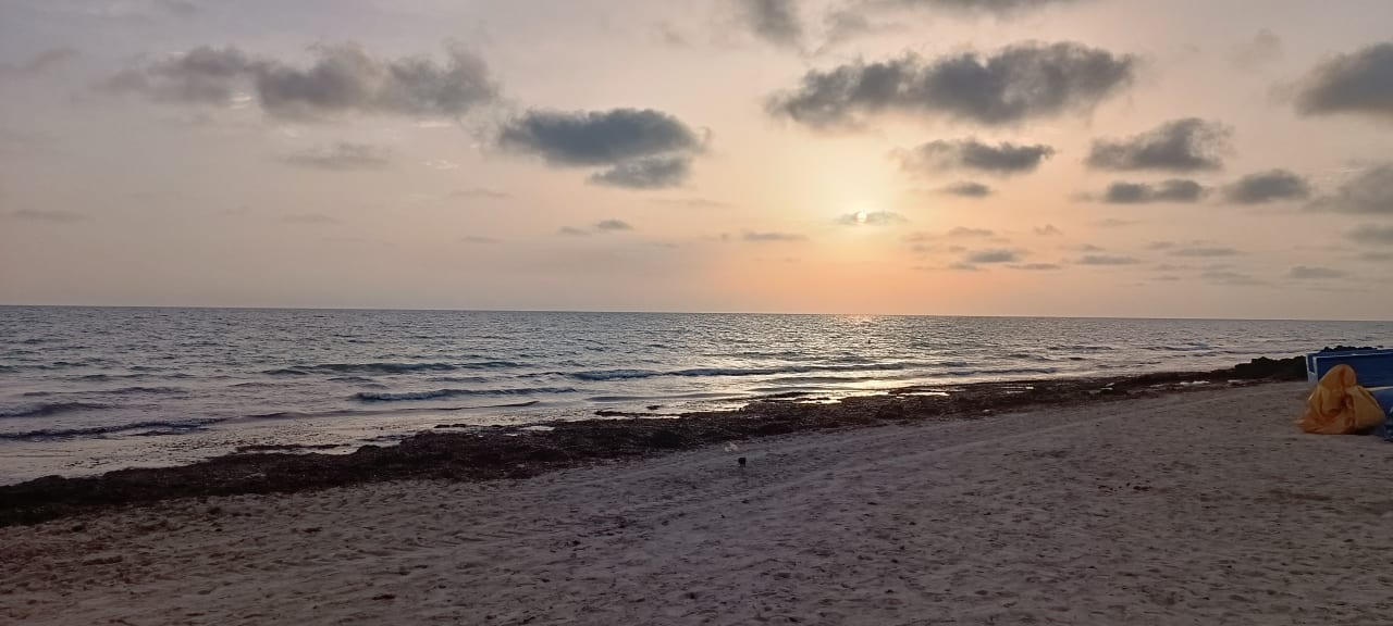 Strand Welcome Meridiana Djerba Hotel