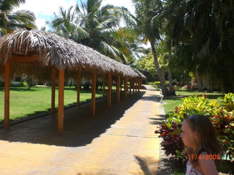 A l'ombre Catalonia Royal Bavaro - Adults only