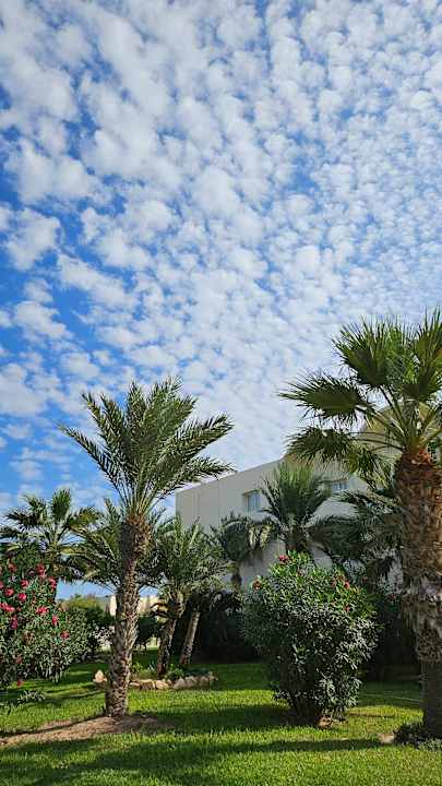 Ausblick TUI MAGIC LIFE Penelope Beach