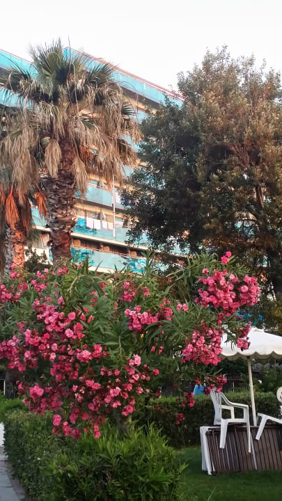 Garten Hotel Calypso Beach