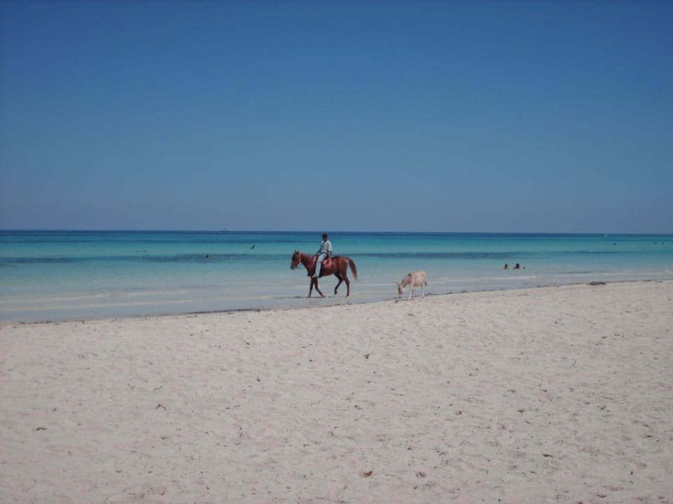 noch mehr Strand Calimera Yati Beach