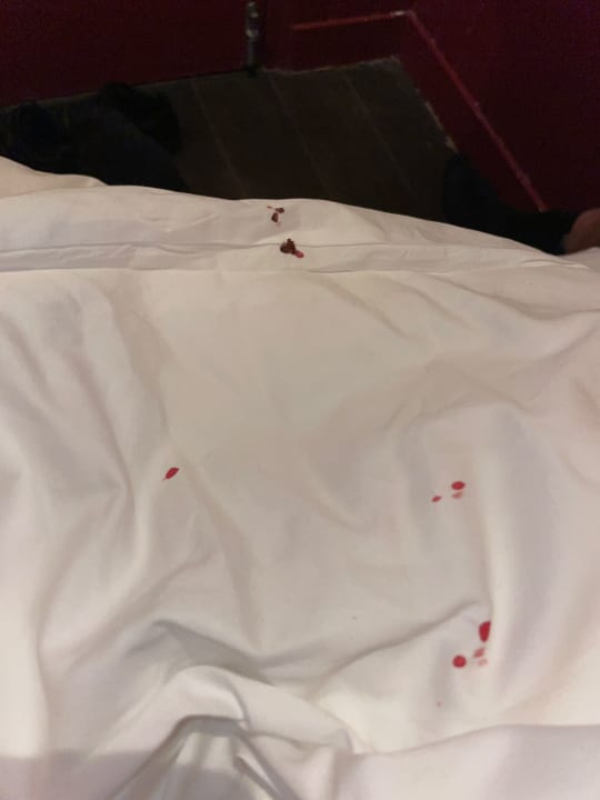 Zimmer Hotel Not Hotel