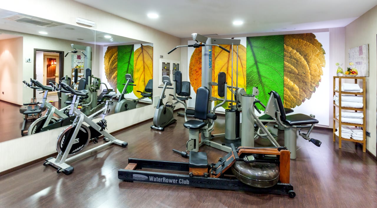 Sport & Freizeit Occidental Madrid Este