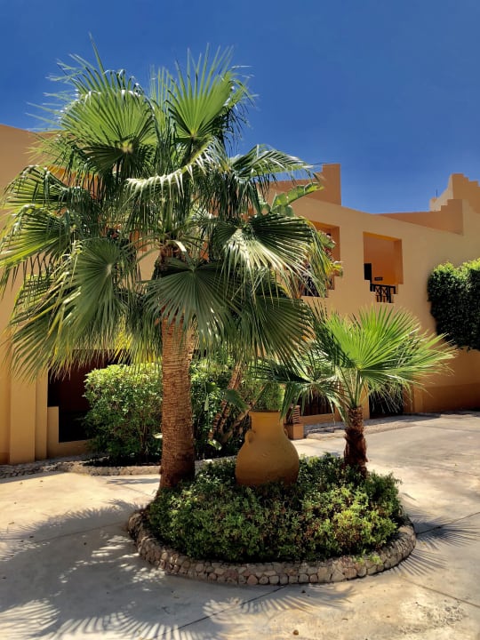 Gartenanlage Stella Beach Resort & Spa Makadi Bay