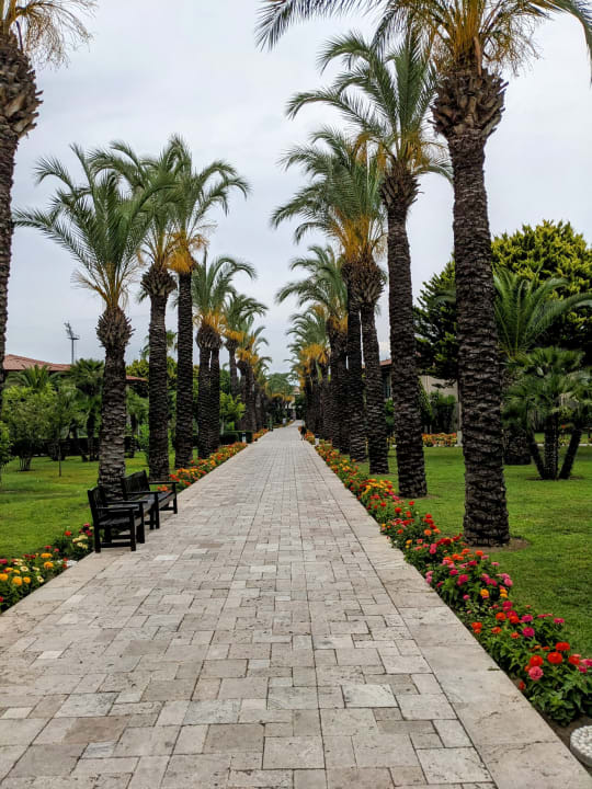 Gartenanlage TUI BLUE Palm Garden