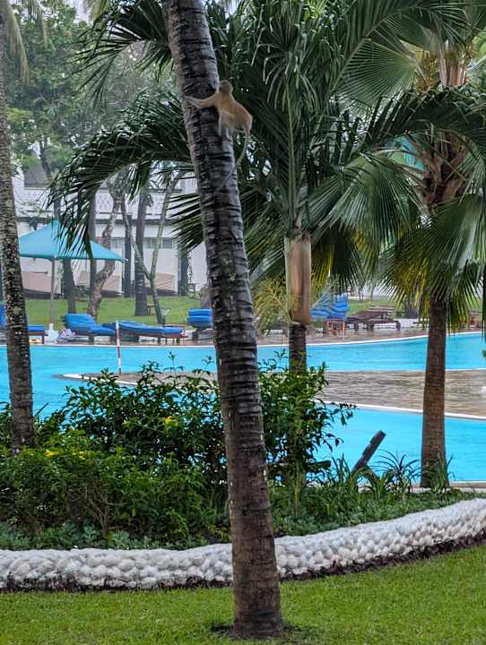 Pool Hotel Southern Palms Beach Resort