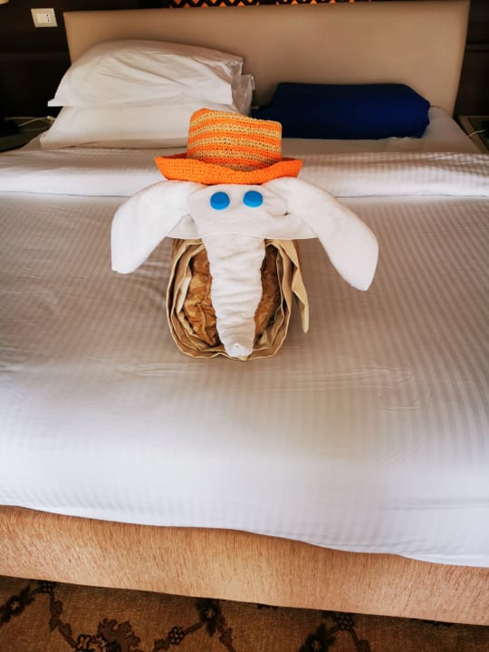 Zimmer Steigenberger Makadi Hotel - Adults only