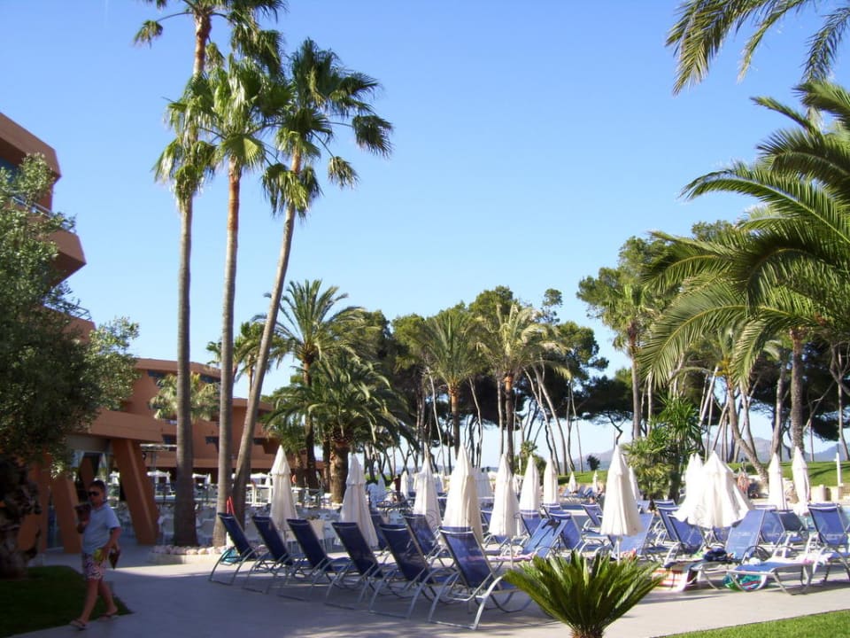Schön angelegte Poollandschaft Iberostar Waves Playa de Muro