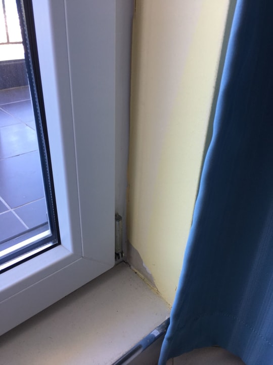 Sonstiges Blue Pearl