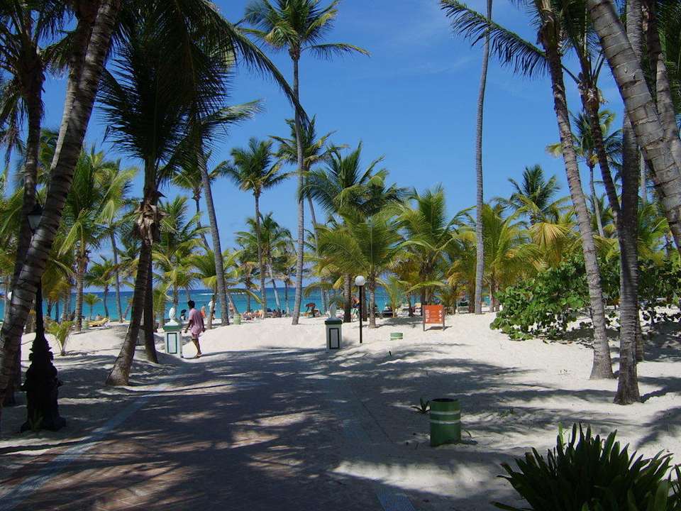 Strand und Palmen Hotel Riu Bambu