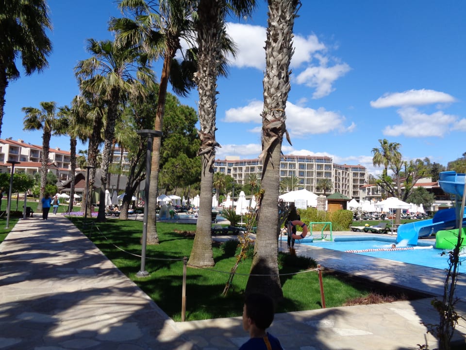 Pool Arum Barut Collection