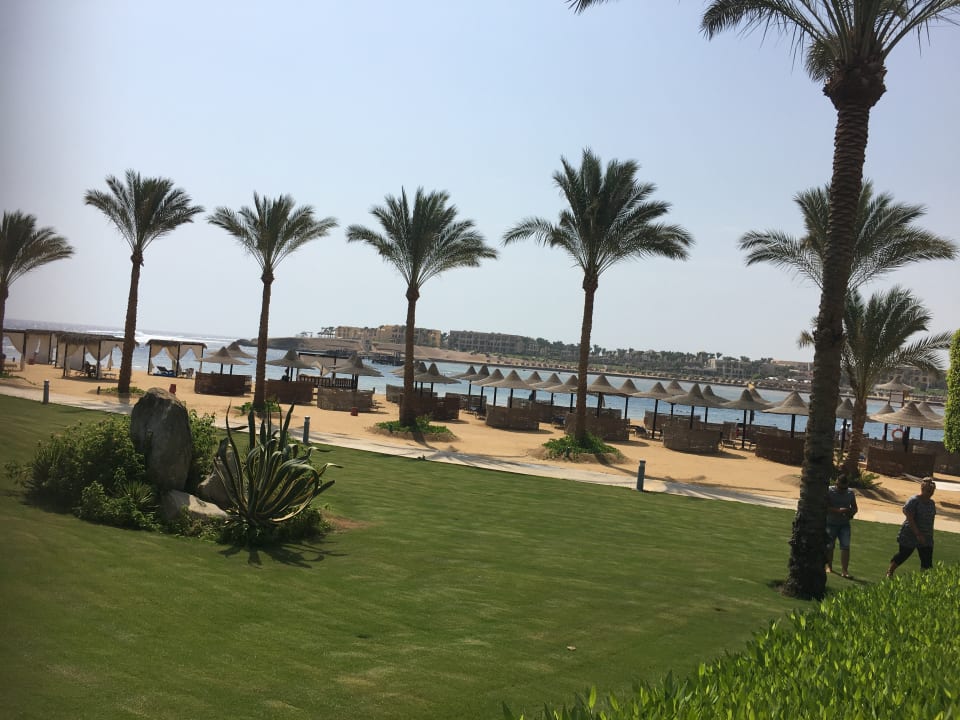 Gartenanlage Steigenberger Coraya Beach - Adults only