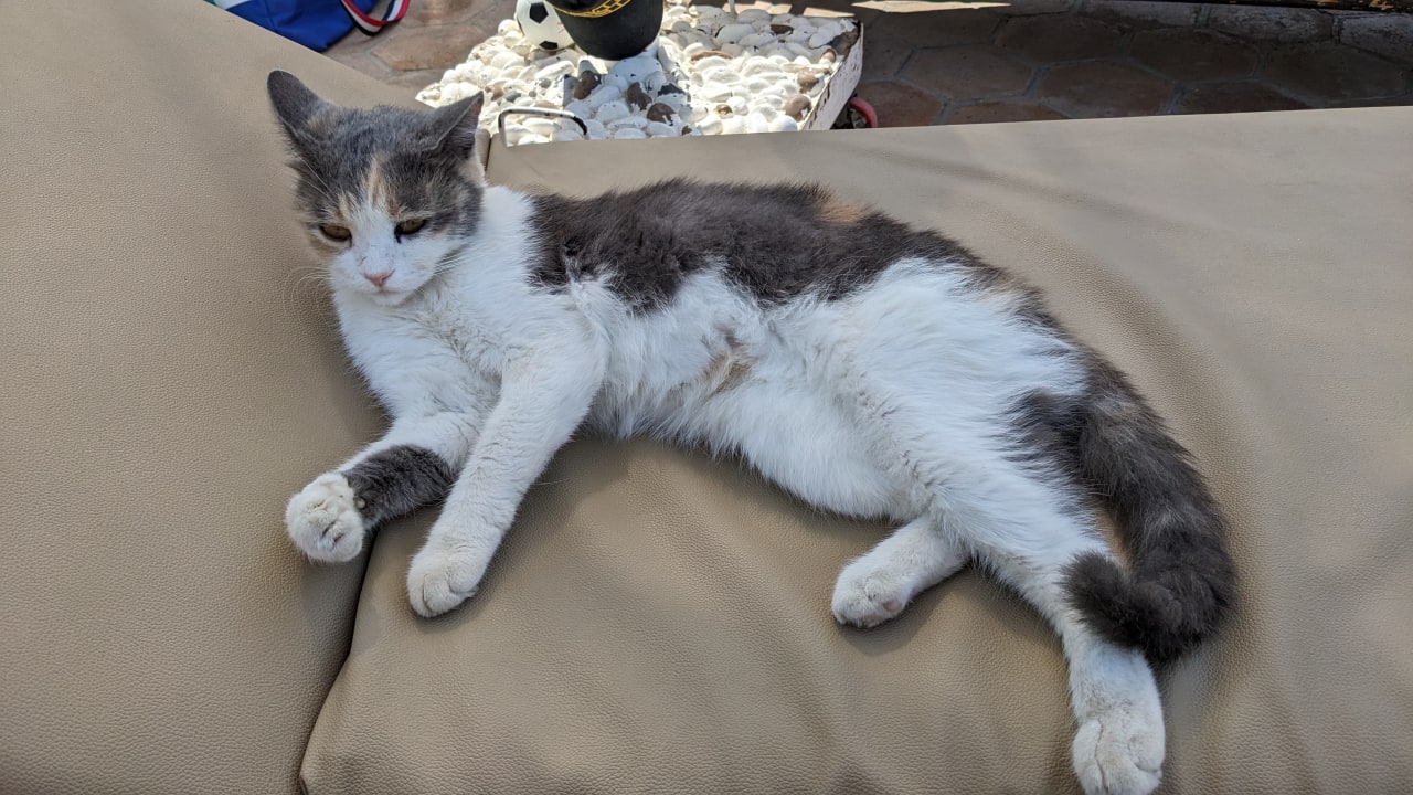 Pool Hotel Three Corners Ocean View prestige - Adults only