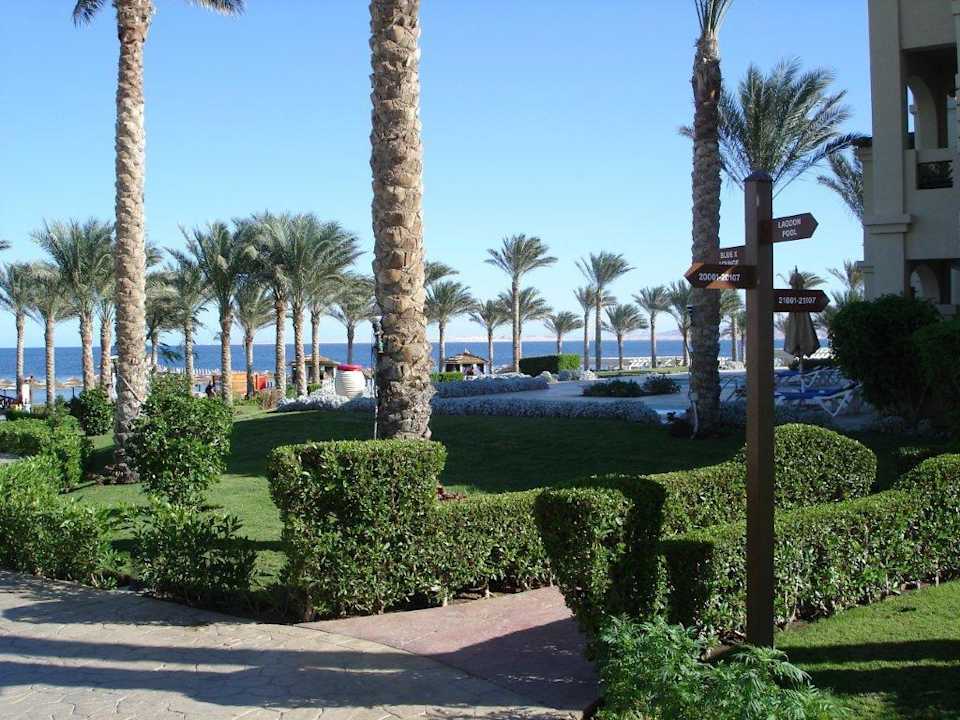 In der Anlage Rixos Sharm El Sheikh Adults Only 18 +