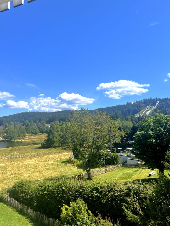 Ausblick WaldFunkeln Lodge