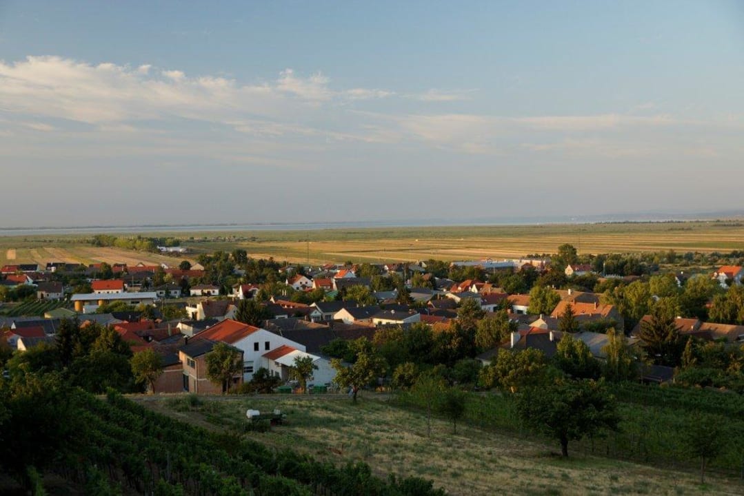 Ausblick auf See und Jois Weingut & Gästehaus zum Seeblick - Familie Sattler