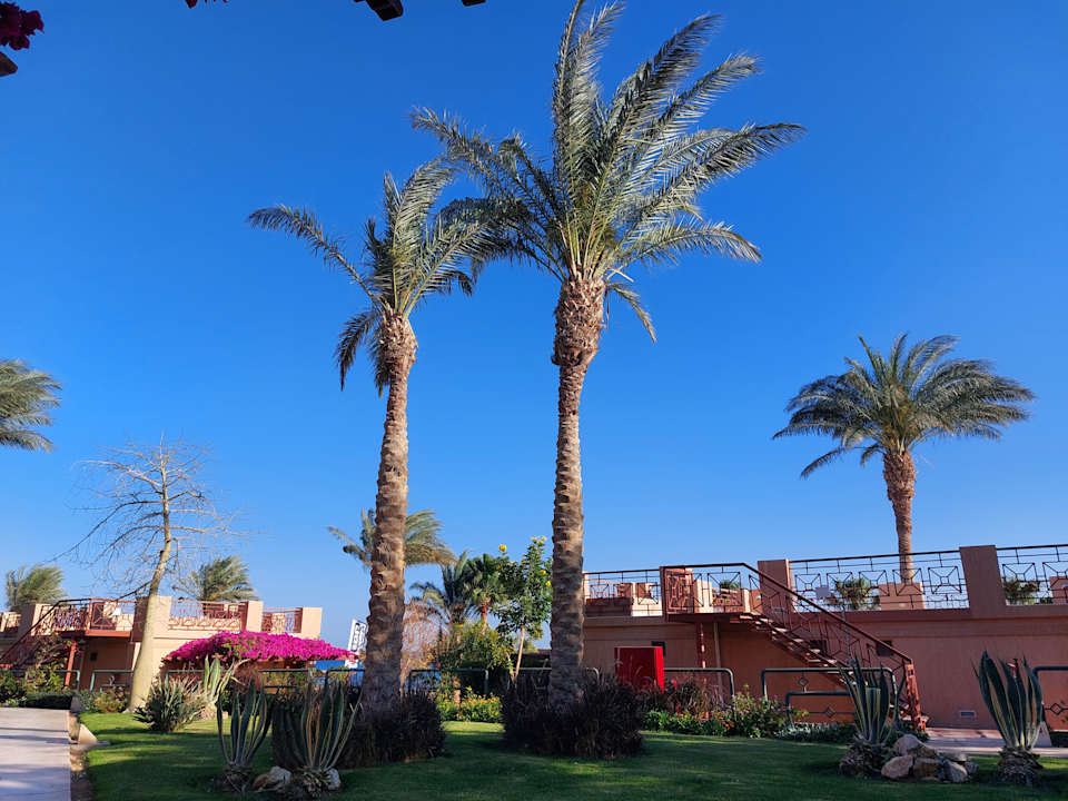 Außenansicht Shams Prestige Abu Soma-Adults Only