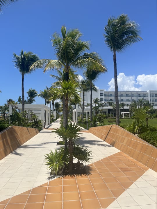 Gartenanlage Hotel Riu Dunamar