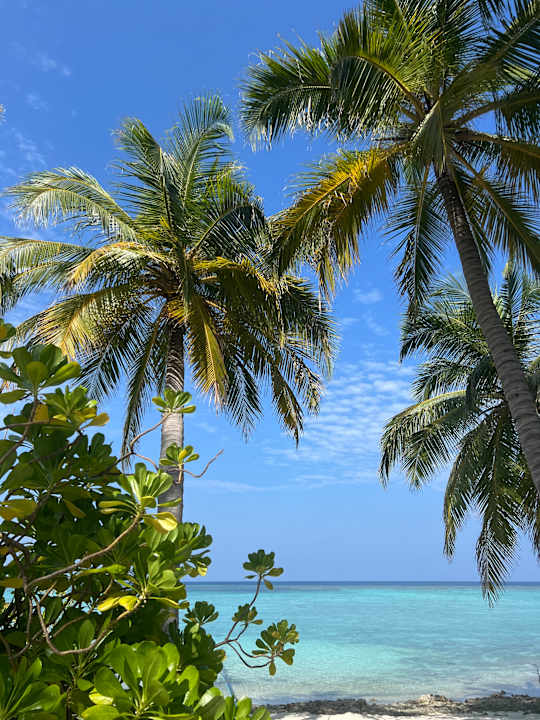 Strand Summer Island Maldives