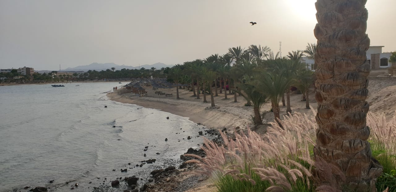 Strand Brayka Bay Resort