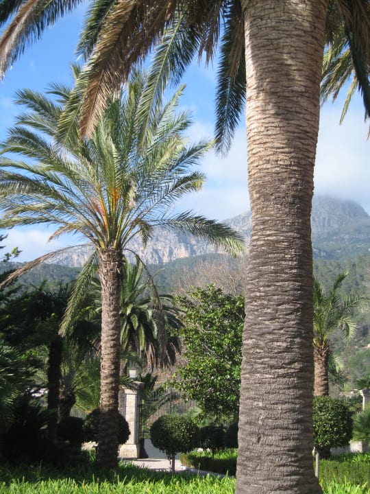 Blick vom Garten in die Ferne Gran Hotel Son Net