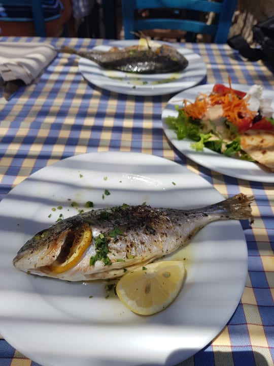 Lecker Dorade Hotel Kalithea Horizon Royal