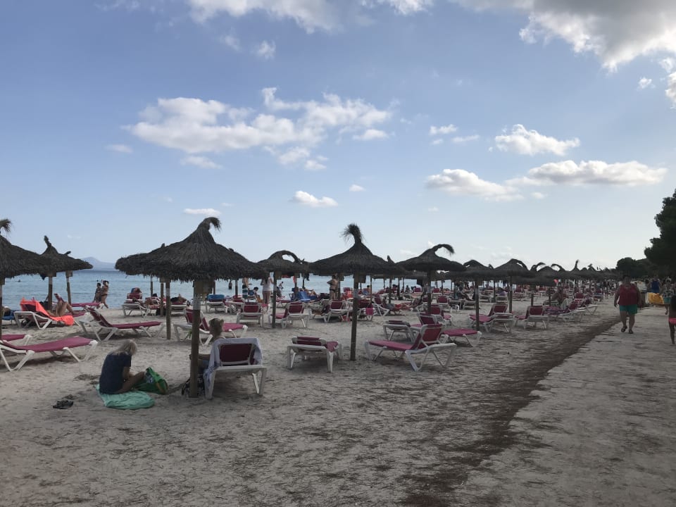 Strand JS Hotel Sol de Alcudia