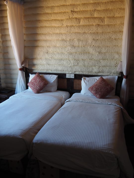 Zimmer Salt Lick Safari Lodge