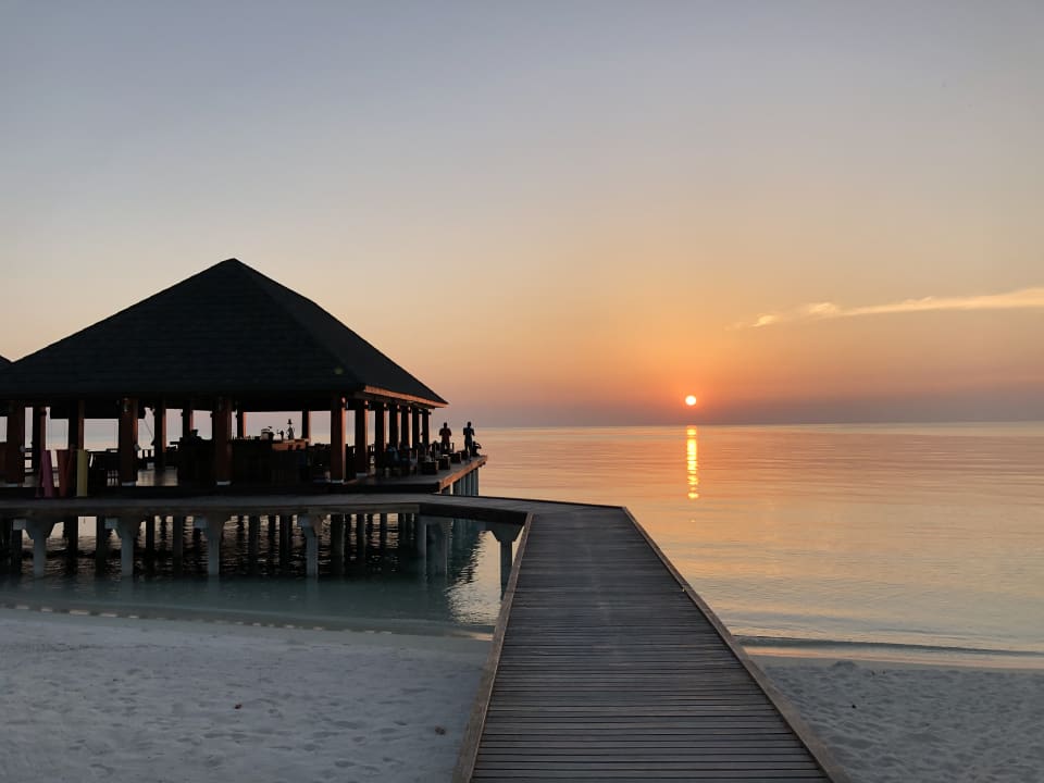 Gastro Summer Island Maldives