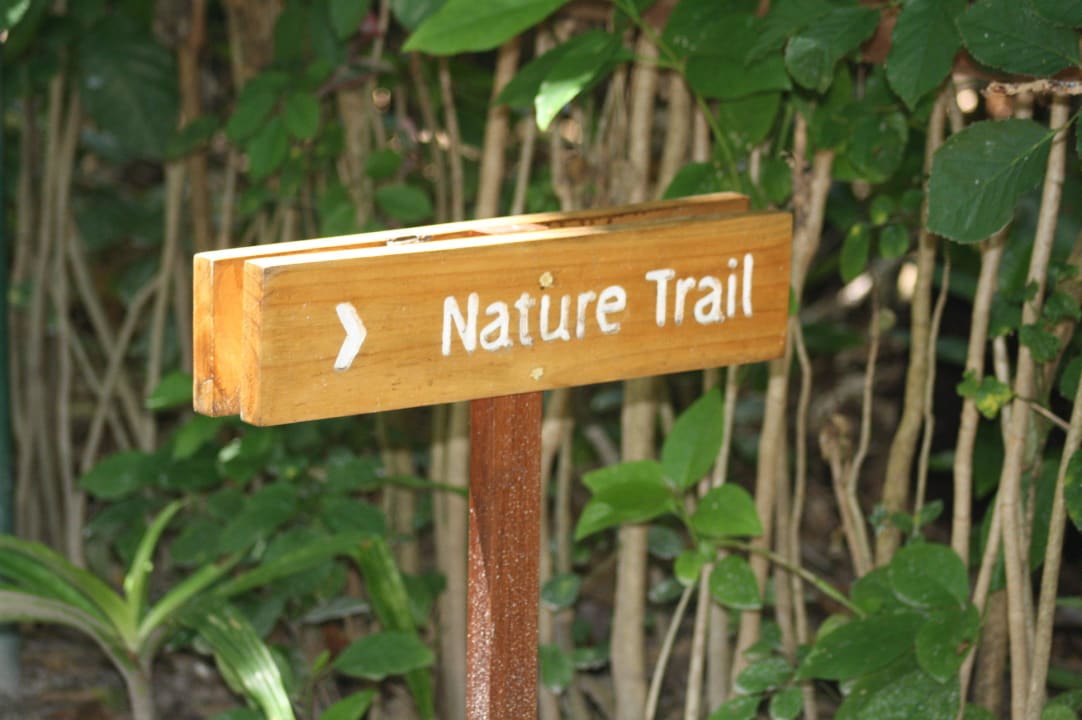 Nature Trail Kuramathi Maldives