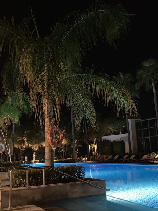 Pool Acanthus Cennet Barut Collection